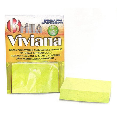 Multipurpose Sponge Pva 12x7x3 Cm Viviana
