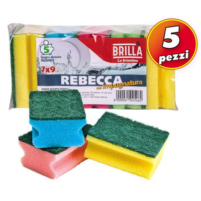 Set 5 esponjas abrasivas con mango - Rebecca