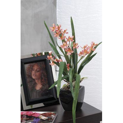 Vase C/ orchid 4c Sort 7,5x7,5xxa42cm