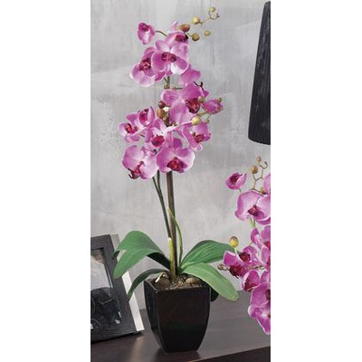 Jarrón C/ orquídea 4c Sort 10x10xa56cm