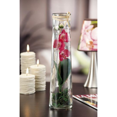Botella de vidrio con orquídea