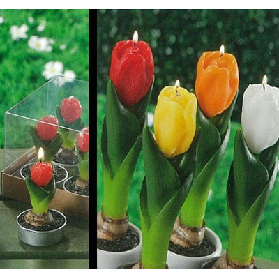 Set 6 candles tulips 4c sort D3,7xa7 cm