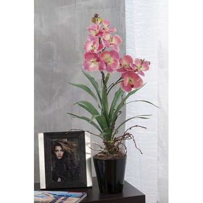 Vaso C/orquidea 4c Sort D11xa58cm