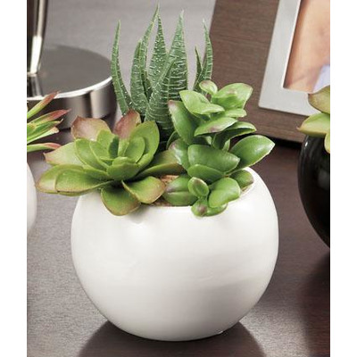 Vaso C/ plantas 3m2c Sort D9xa7cm