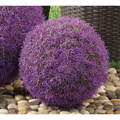 Esfera Erva Decorativa 2 C St D30 Cm
