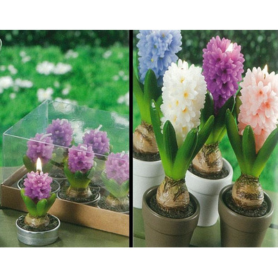 Set 6 Candles Hyacinth 4c Sort D3,4xa6 cm