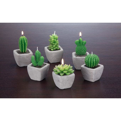 Cactus Candle C/ vase 6m Sort 6x6xa9cm