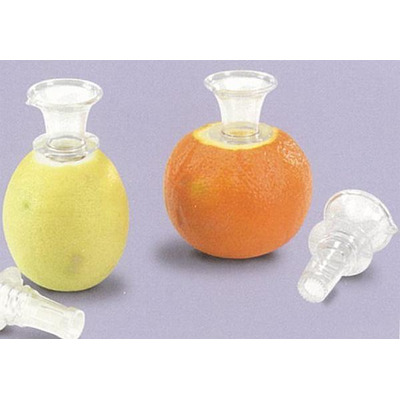 Citrus juicer