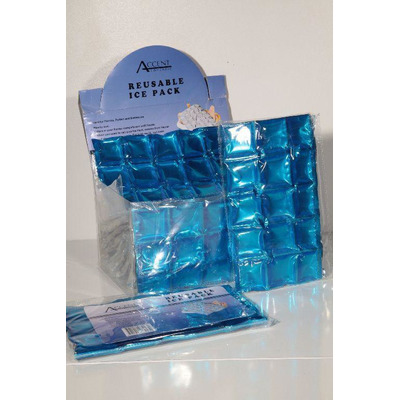 Bolsa Térmica com 30 cubos