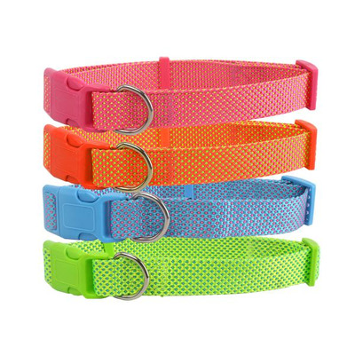 Collar for Dog Lisa Nylon L1cm Xcl20-30cm