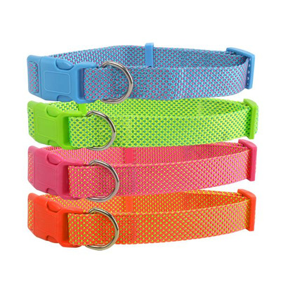 Collar for Dog Lisa Nylon L2cm Xcl30-50cm